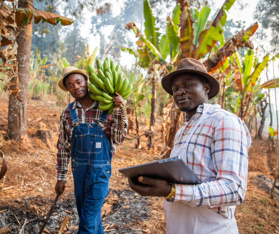 Tapili-Kenya Web Images (24)