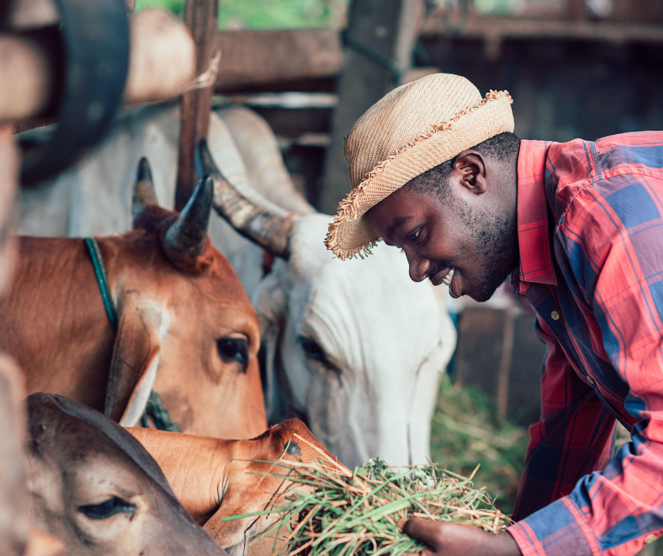 Tapili-Kenya Web Images (28)