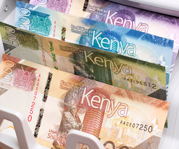 Tapili Web Image (10)