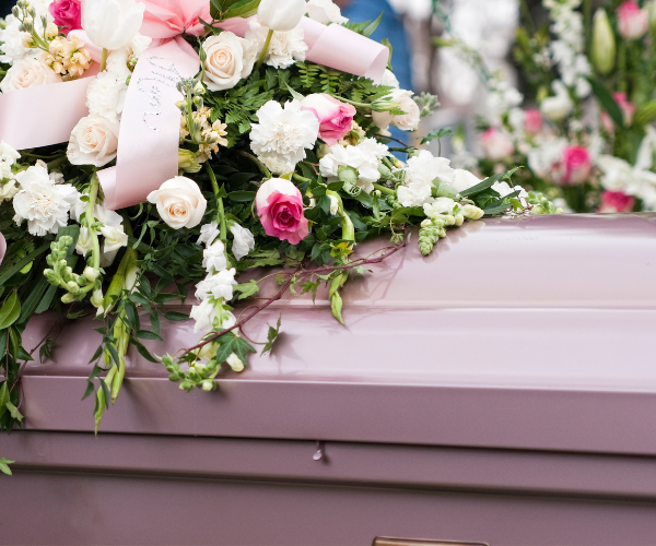 Tapili Web Image (11)