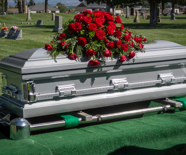 Tapili Web Image (5)