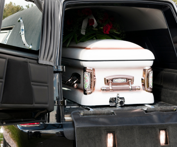 Tapili Web Image (6)